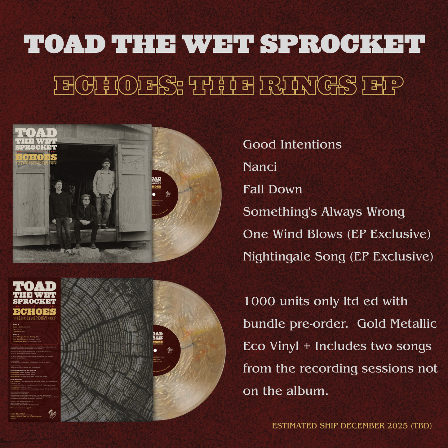 Special Pre-Order | Rings: The Acoustic Sessions Album + Echoes: The Rings EP Bundle