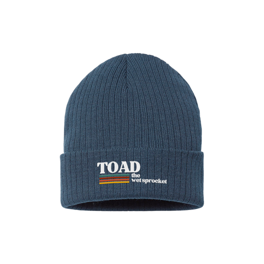 Cool Vibes Navy Beanie