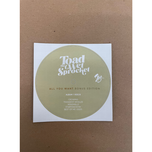 AYWBE Album1 SideB Sticker