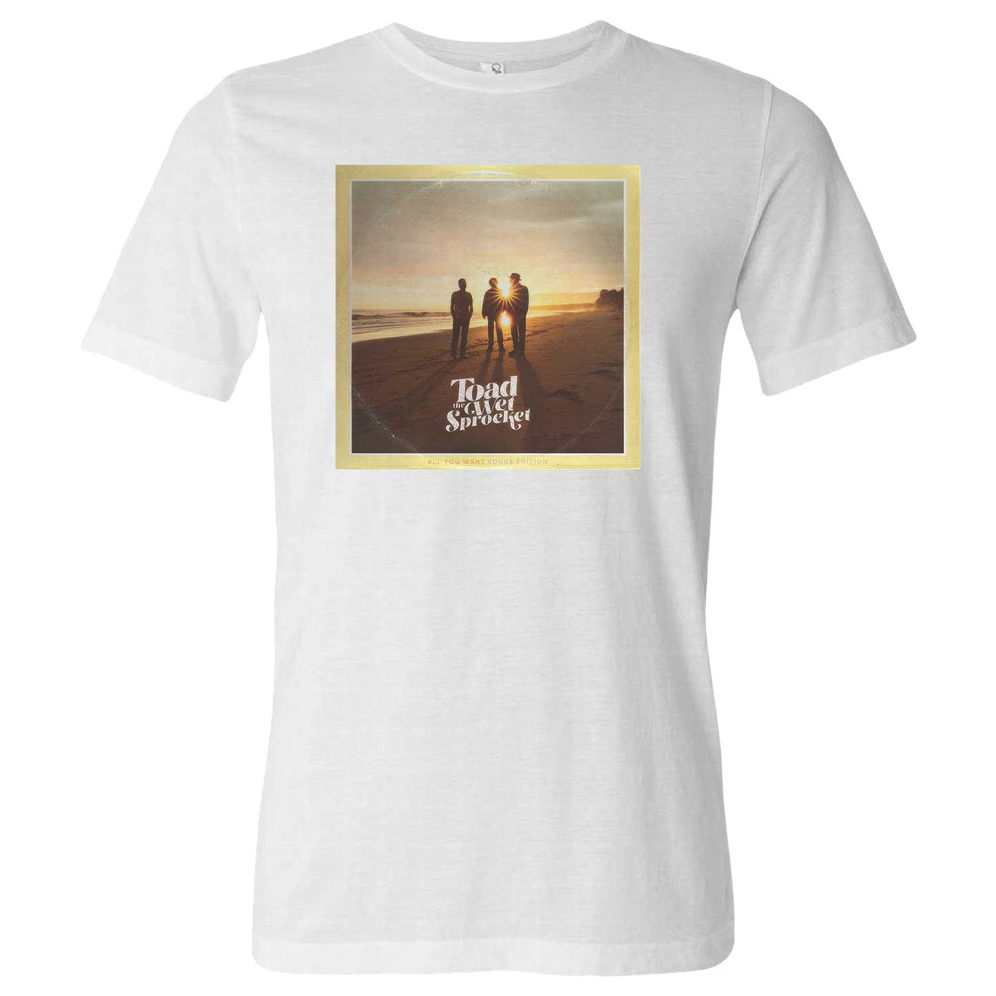 All You Want (Bonus Edition) Album Cover T