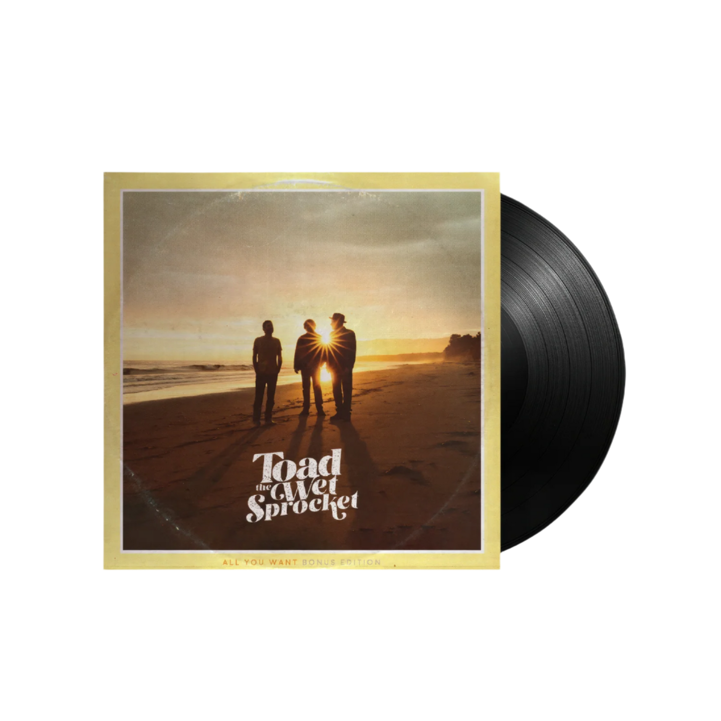 All You Want (Bonus Edition) - 2-LP VINYL / GATEFOLD JACKET