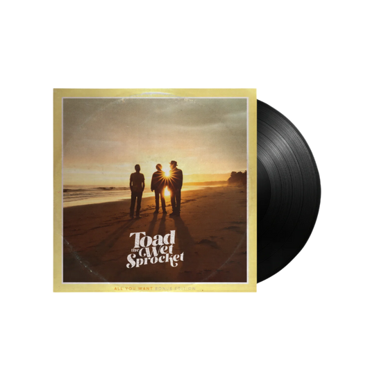 All You Want (Bonus Edition) - 2-LP VINYL / GATEFOLD JACKET